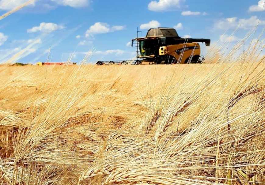 Жнива-2025: аграрії Кіровоградщині розпочали збір ячменю