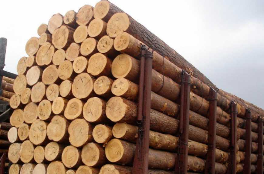 Верховна Рада дозволила експортувати ліс-кругляк