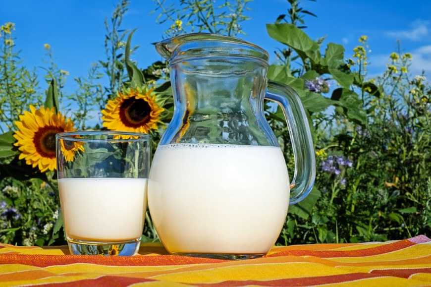 Україна збільшила виробництво молока