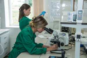 Екологічні принципи виробництва: досвід «Миронівської птахофабрики»