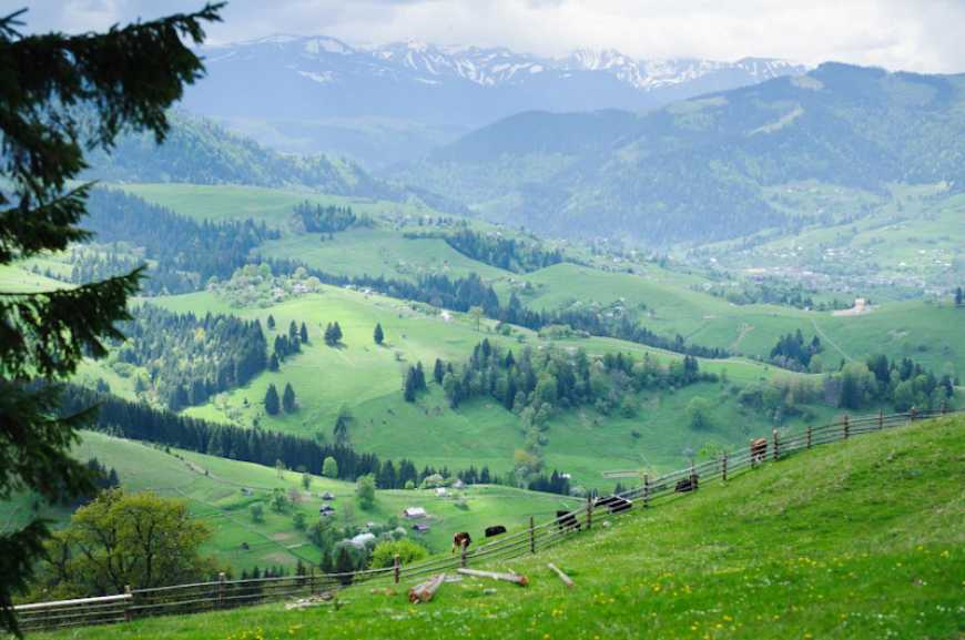 Гастротуризм: на Прикарпатті створять маршрут з улюбленими стравами Івана Франка та Лесі Українки