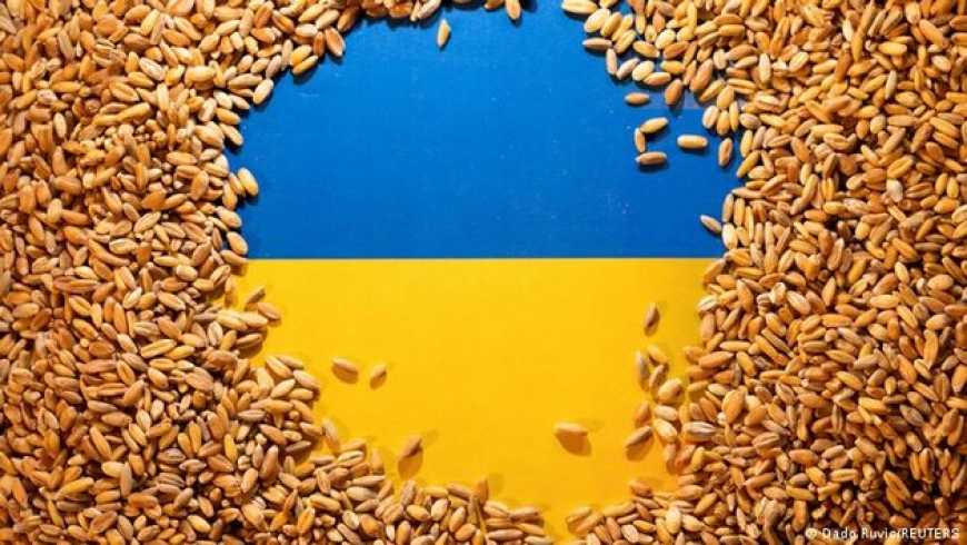 Росіяни масово крадуть українське зерно з Маріуполя