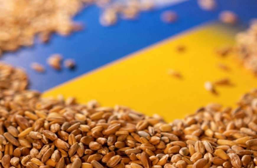 УЗА просить уряд організувати &laquo;зелений коридор&raquo; для зерна через село Паланка