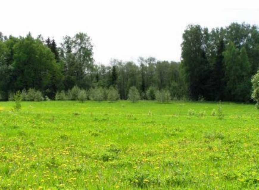 Антирейдерська комісія відзвітувала про результати роботи за рік