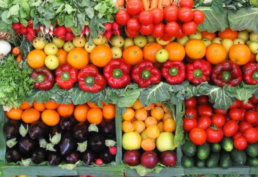 Вирощування овочів: досвід господарств