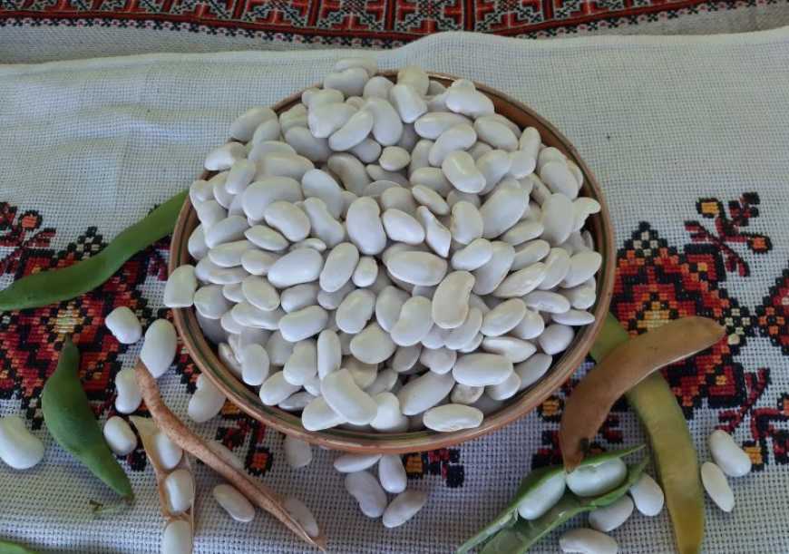 На Львівщині роблять хумус з квасолі