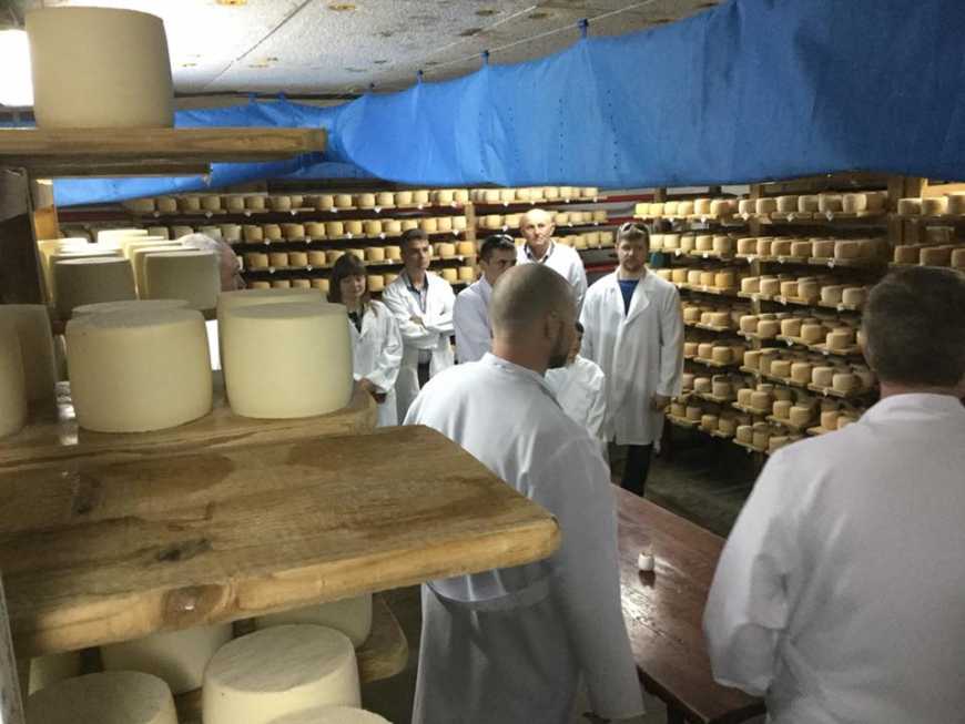 Дистриб&#039;ютори мереж  збільшили замовлення в вітчизняних сироварів