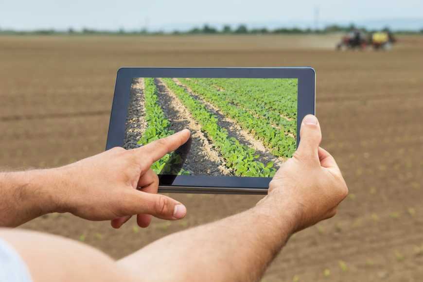 Аграрні інновації: що стримує технічний розвиток агросектора?