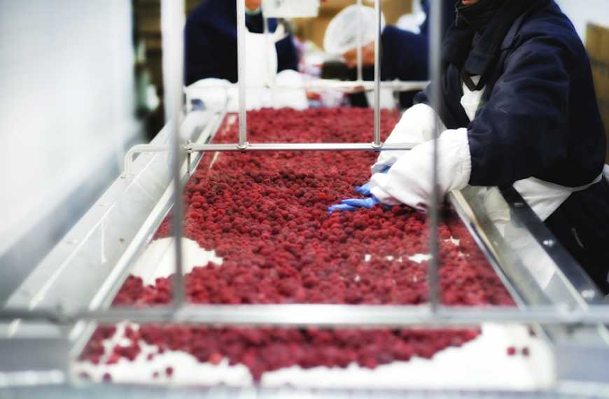 На Львівщині будують завод із переробки фруктово-ягідної продукції