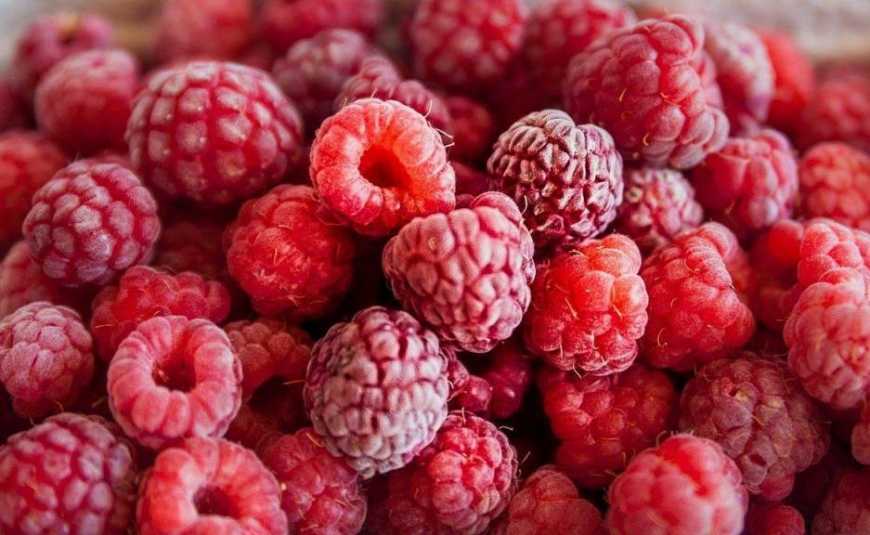 Польща стала купувати майже вдвічі більше української малини