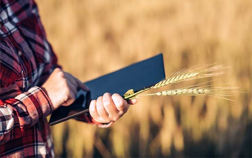 Українські аграрії отримають доступ до міжнародної бази даних AgroChart