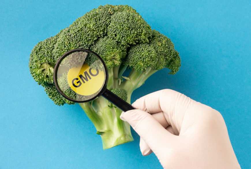 У ЄС планують послабити правила щодо ГМО