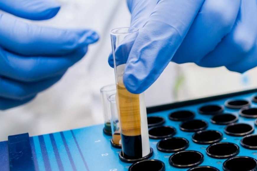 Бельгійські вчені підвищили ефективність виробництва біогазу зі стічних вод