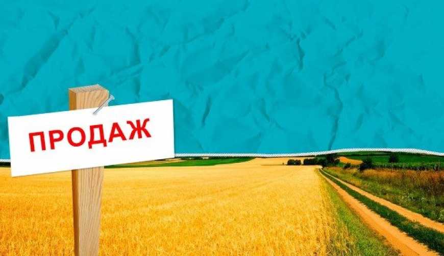 Названо річні підсумки відкриття ринку землі в Україні