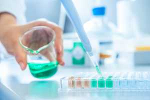 Ринок нанобіотехнологій відкриває нові горизонти ефективності агробізнесу