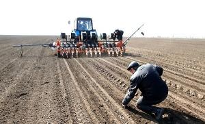 Темпи осінньої посівної цього року були найнижчими за останні п’ять років