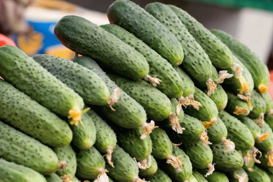 В Україні ціни на огірки продовжують зростати