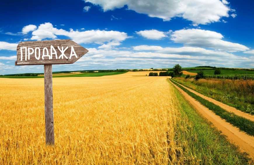 Названо середню вартість сільгоспземель в Україні