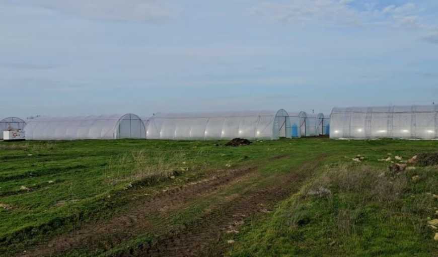 На Херсонщині встановили 40 теплиць для переселенців