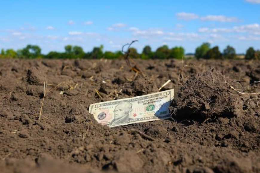 В Україні запровадять єдину мінімальну сплату податку з гектару землі, &ndash; Тарас Висоцький