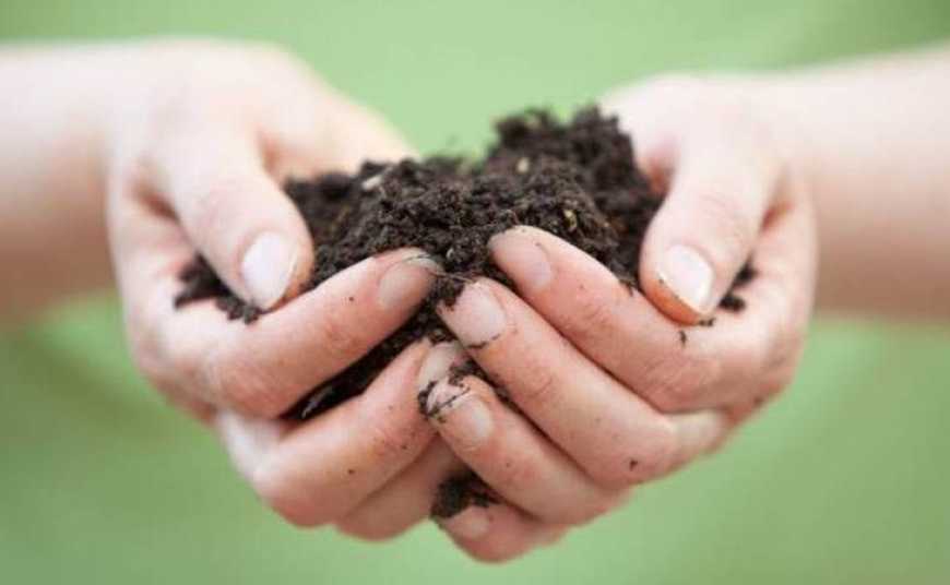 Озвучено правила дарування земельної ділянки сільгосппризначення