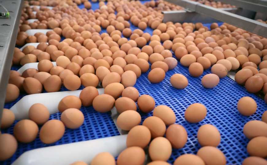 В Україні різко змінилися ціни на курячі яйця