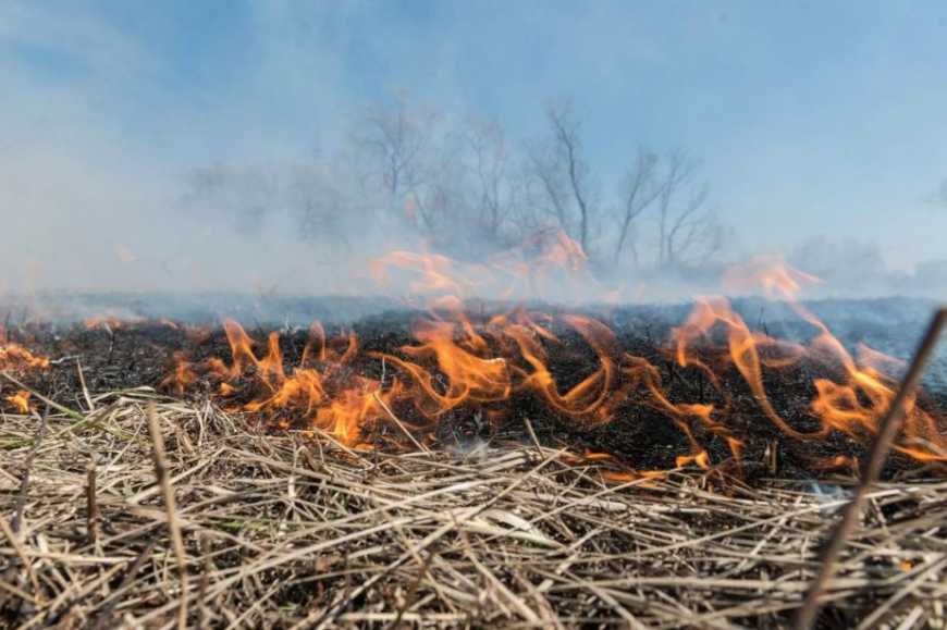 Штрафи за підпал сухої трави збільшили в 18 разів