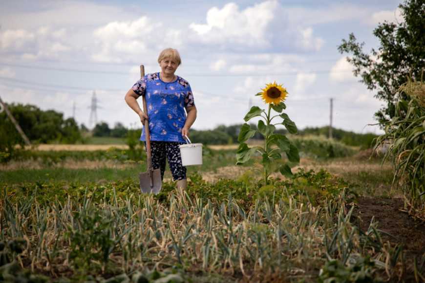 ФАО опублікувала трирічний план надзвичайного реагування та раннього відновлення