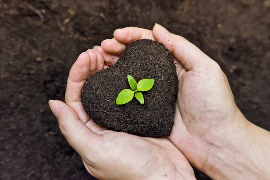 В Україні запрацювала електронна система Є-Рослинництво