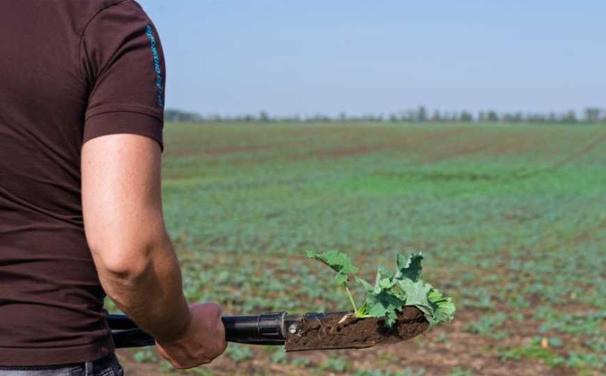Контроль хвиль сходів падалиці зернових