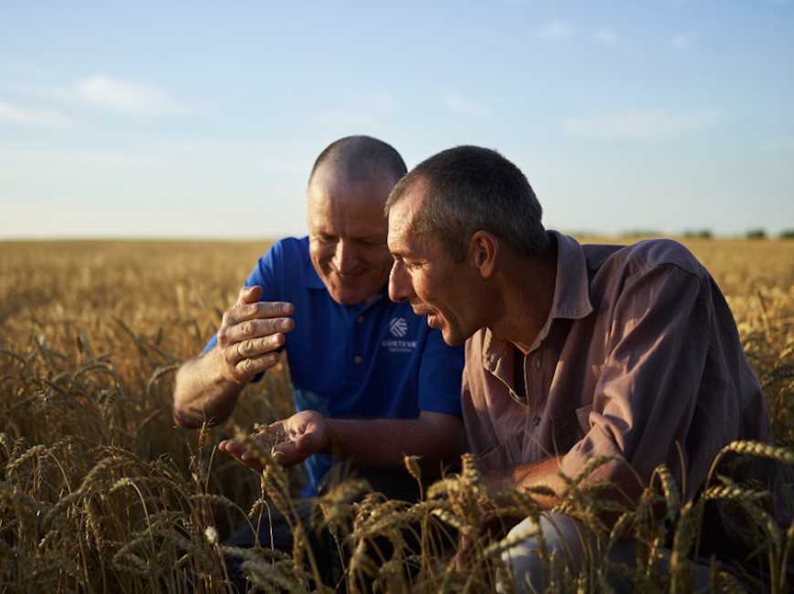 Corteva Agriscience допомагає фермерам застрахуватися від наслідків негоди