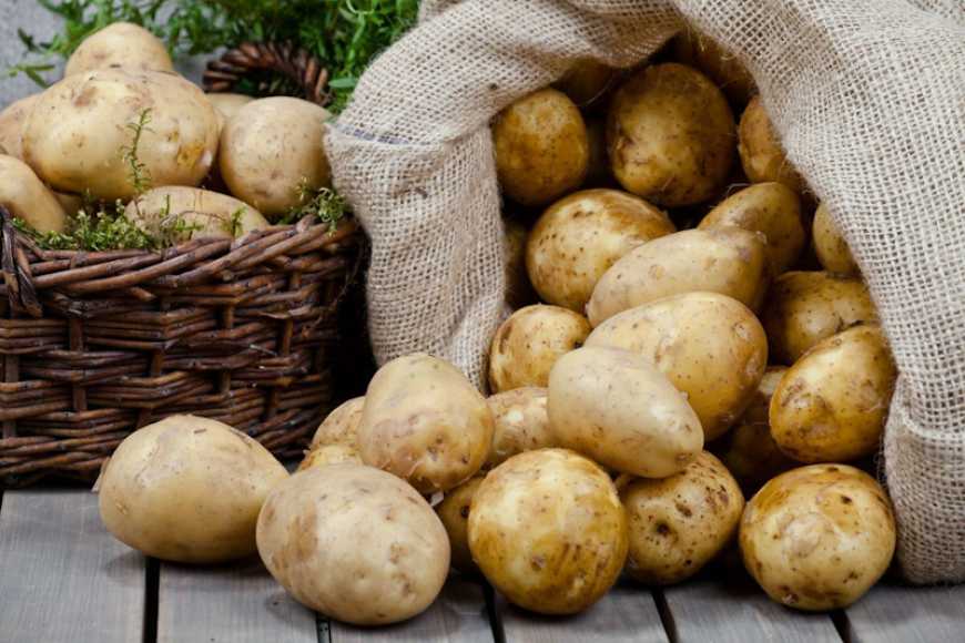 В Україні знижуються ціни на картоплю