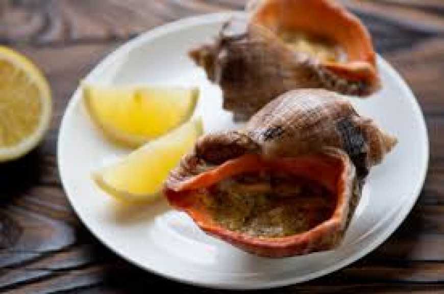 На Миколаївщині запрацював унікальний завод з переробки рапанів