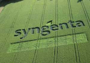 Syngenta: прискорення інновацій у мінливому світі