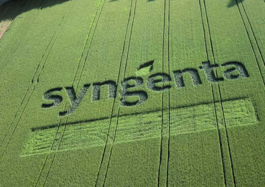 Syngenta: прискорення інновацій у мінливому світі