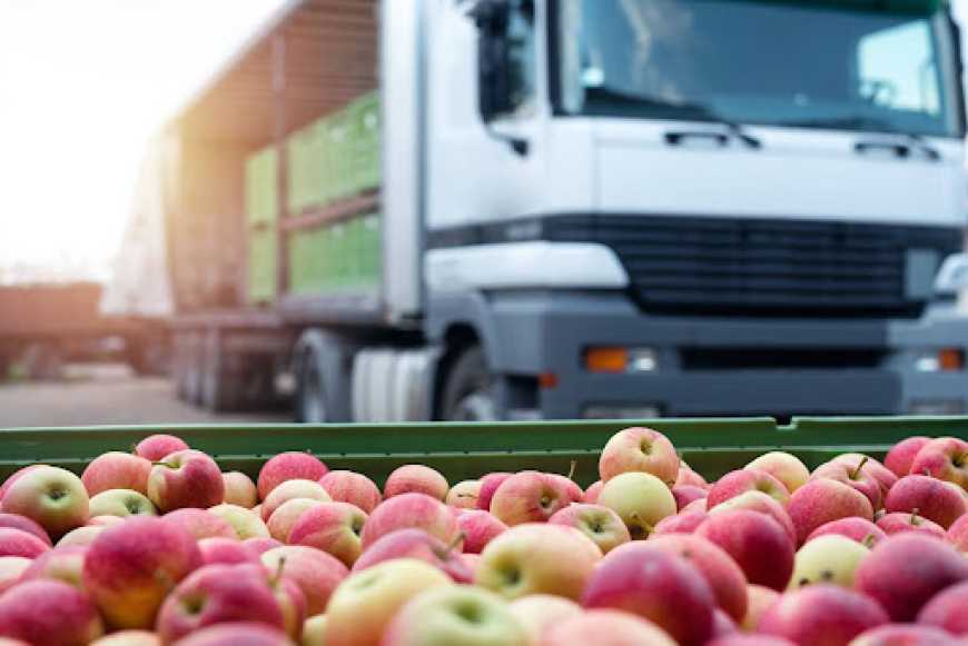 Перевезення продуктів харчування автомобільним транспортом: переваги та недоліки