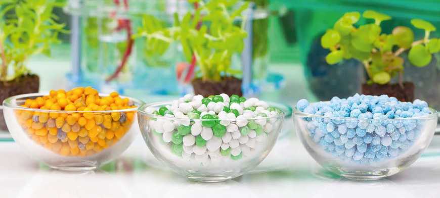 В Україні дефіцит діамофоски та амофосу, ціна на них зростає