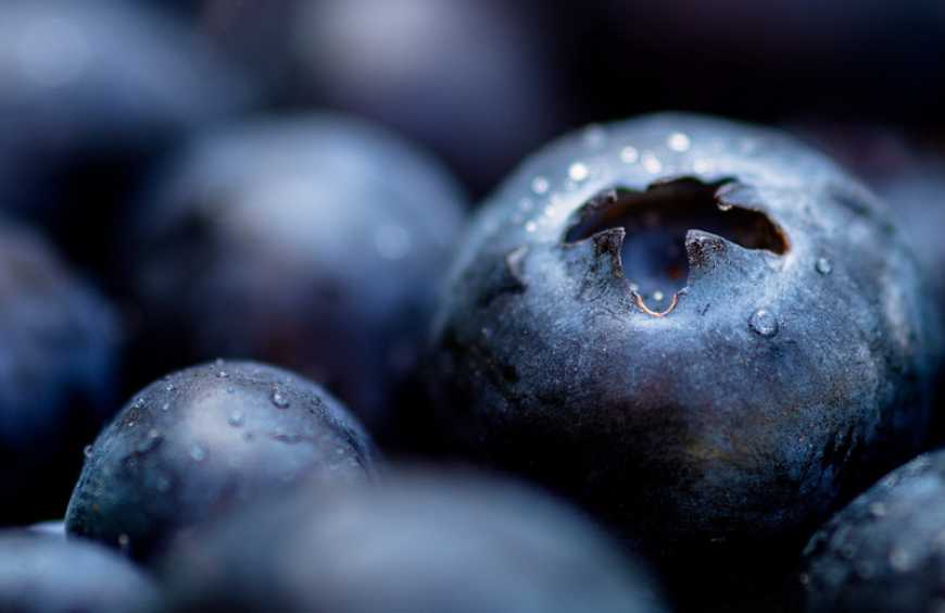 Україна в 5 разів збільшила експорт замороженої лохини до Китаю