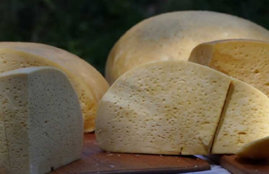 Цьогоріч виробники коров'ячої бриндзи в Україні отримали 7 млн грн грантів від ФАО