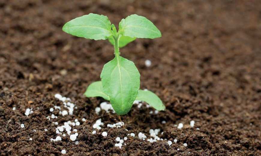 Ринок добрив: світові ціни на карбамід з початку року підскочили на 18%