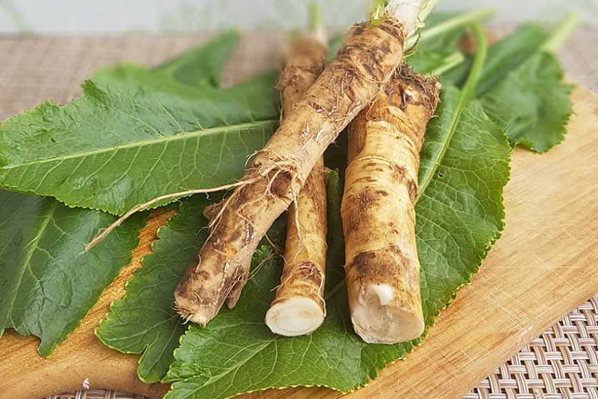 На Закарпатті в одному із сіл поколіннями вирощують хрін