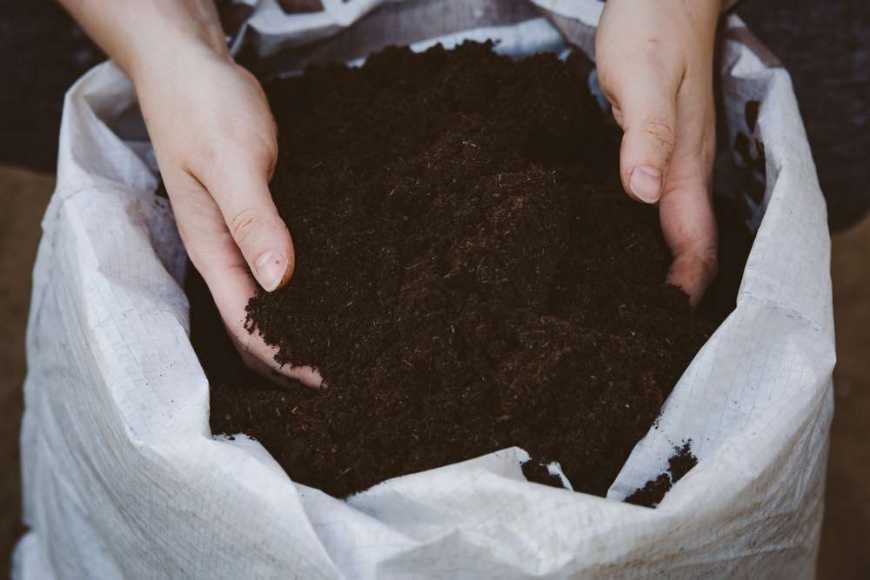 Біогумус органічне добриво, що працює роками