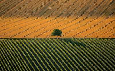 Існує дві позиції, як поводитись з державними землями, – Роман Лещенко