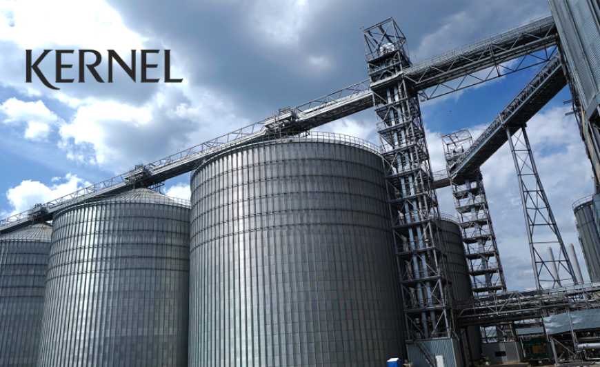 Зібрали на 43% більше врожаю під обстрілами: Kernel опублікував фінансові підсумки півріччя