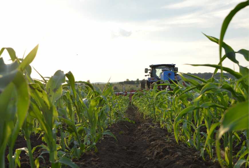 Ювелірна культивація LEMKEN