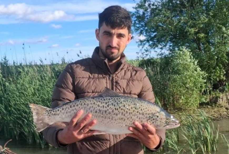 Унікальну червонокнижну рибу виловили в українській частині Дунаю