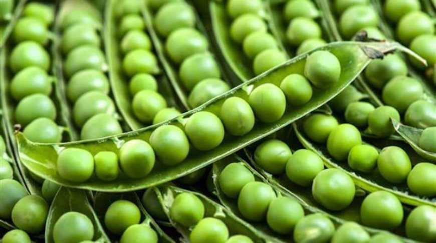 Експорт гороху до Китаю: в Україні формують списки компаній