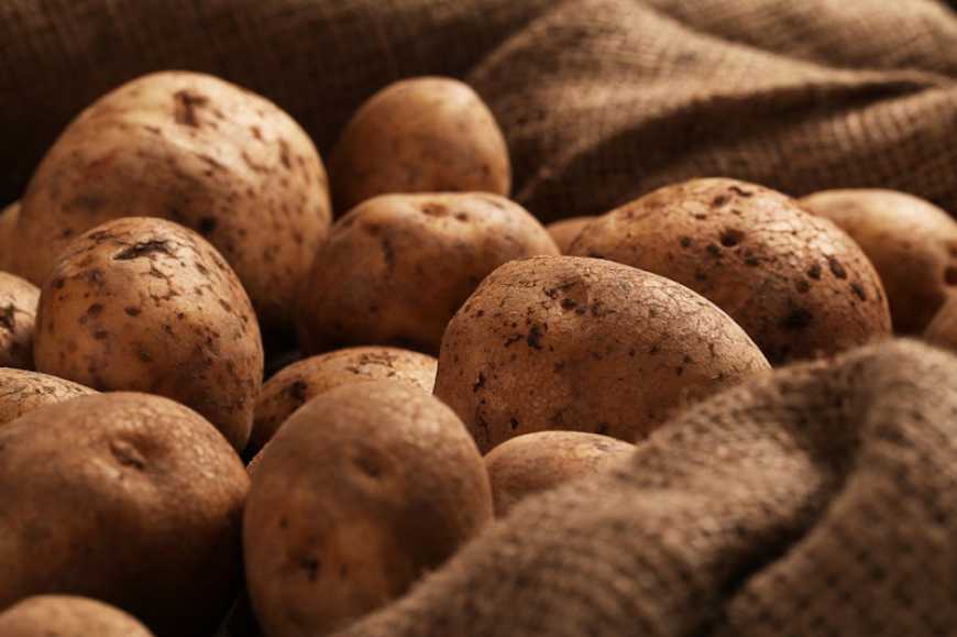 Ціни на картоплю в Україні за тиждень зросли на 12%