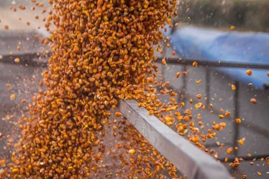Морпорти збільшили експортні відвантаження зернових на 57%