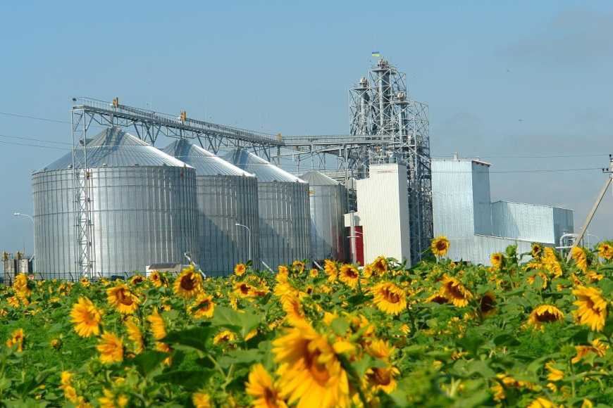 Елеватори — центральна ланка логістичної інфраструктури зернового ринку